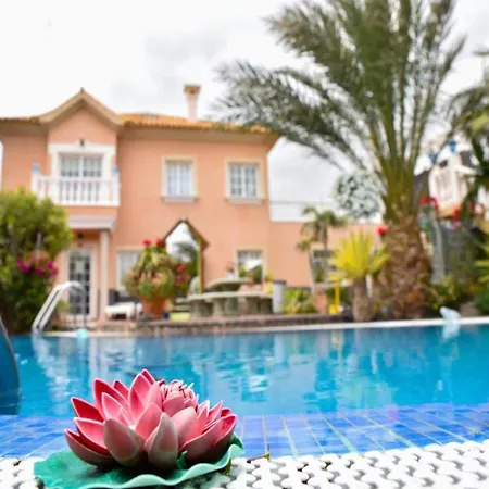 With Communal Pool And Garden * El Médano